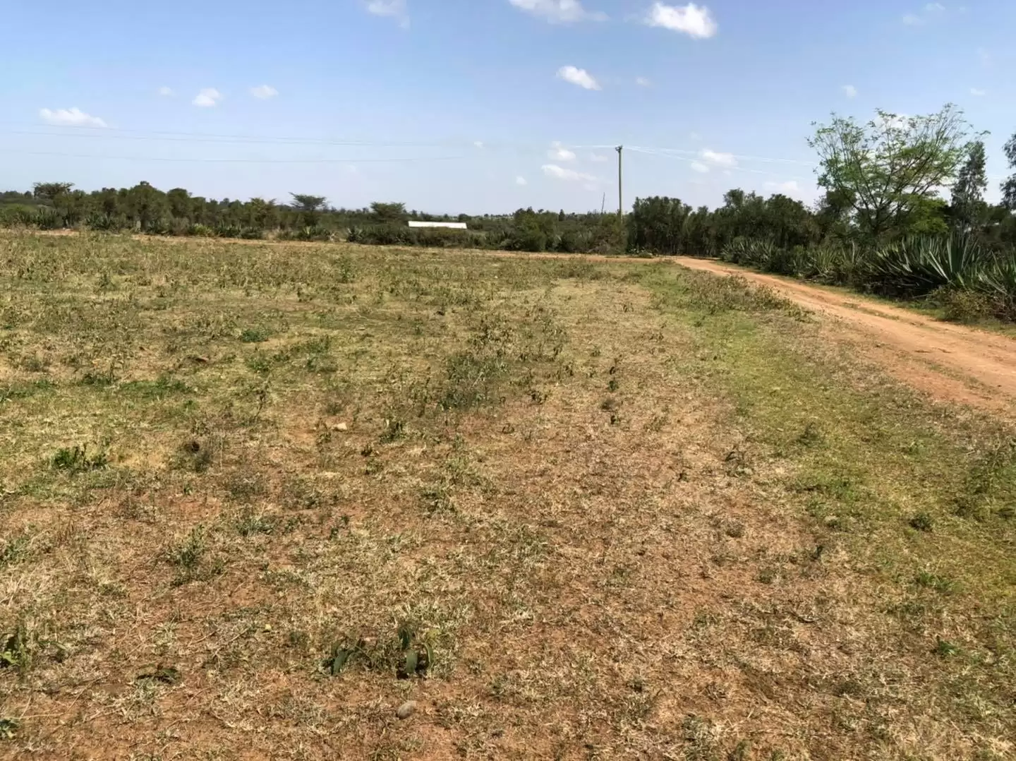 Prime plot for sale in Nanyuki Image