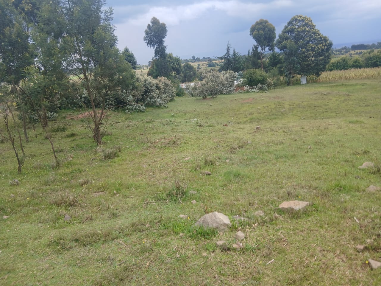 80 acres on sale in nyandarua county touching pamanent river ol kalou kaimbaga