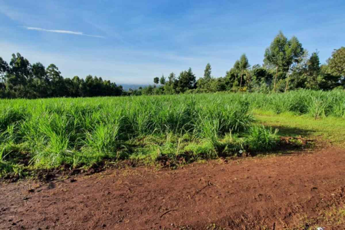 Kiambu Road Kanunga residential plot for sale