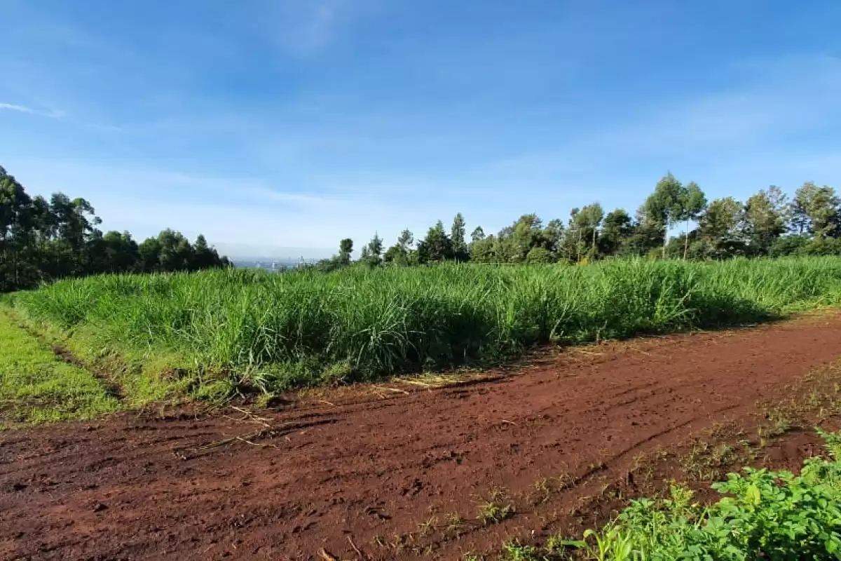 Kiambu Road Kanunga residential plot for sale Image