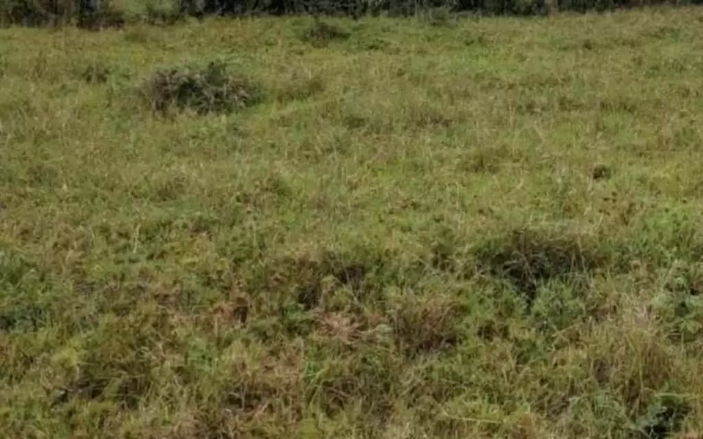 Plots for sale in kitengela town Image