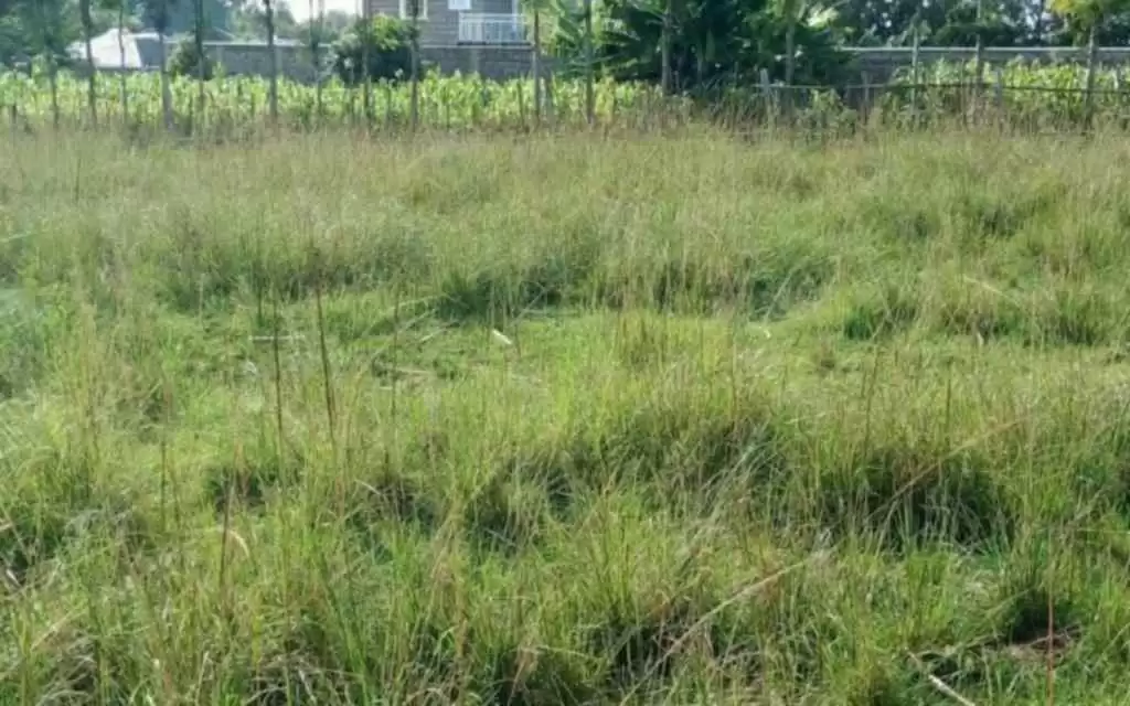 Land for sale in Nyahururu in Nyahururu, Kenya Propscout