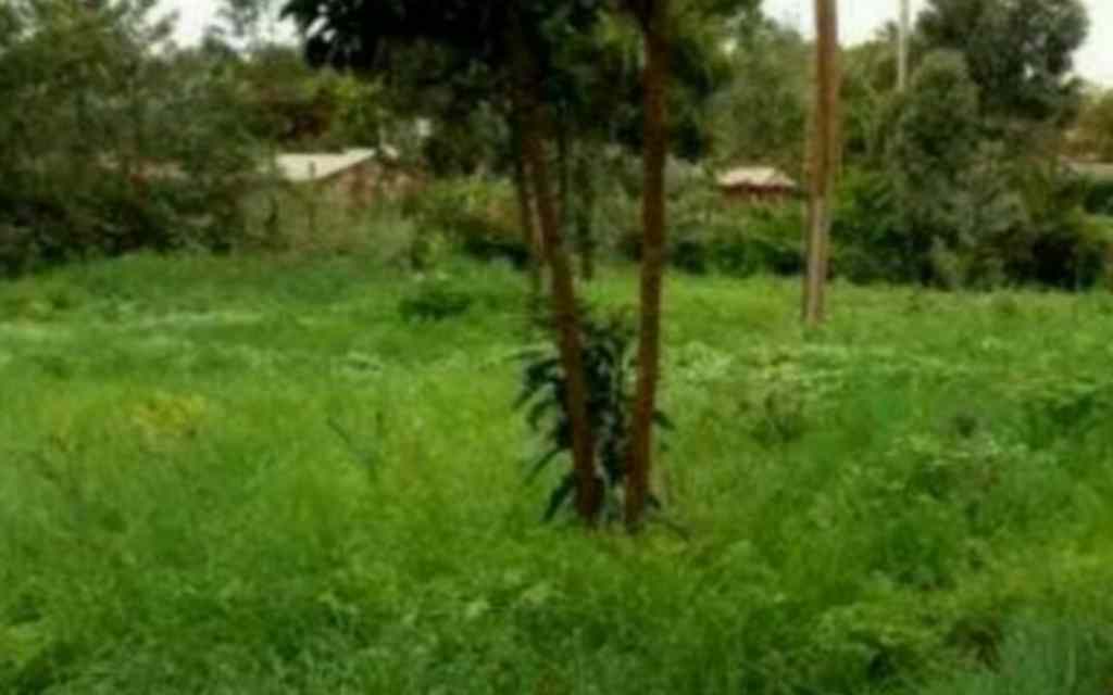 Land for sale in Westlands