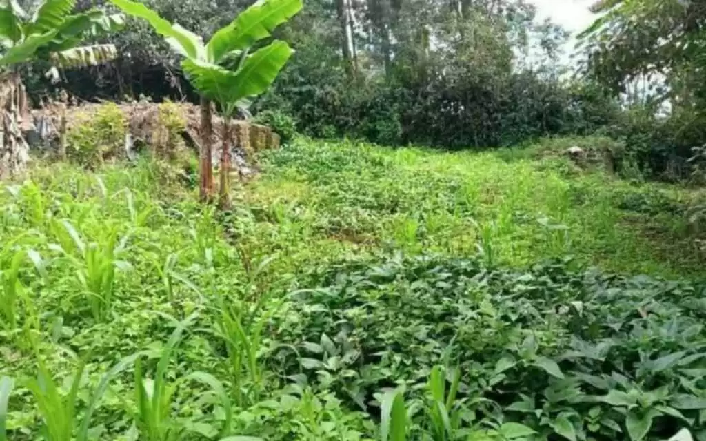 Land for sale in Westlands Image