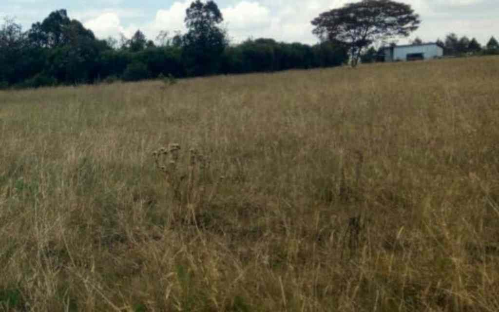 Land for sale in Nyeri Narumoro