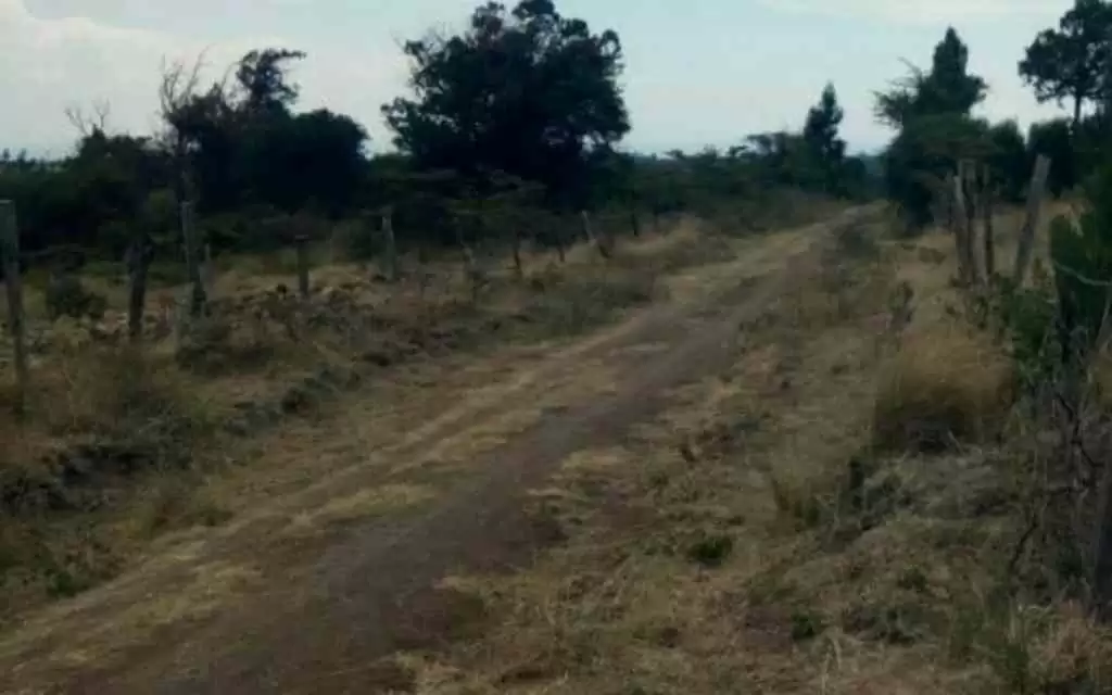 Land for sale in Nyeri Narumoro Image