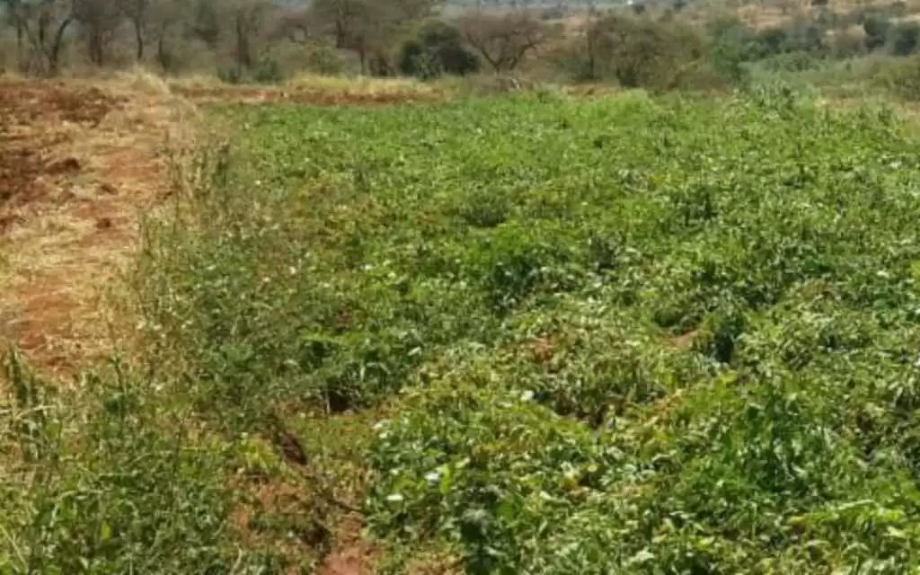 Land for sale in Kabati Murang'a Image