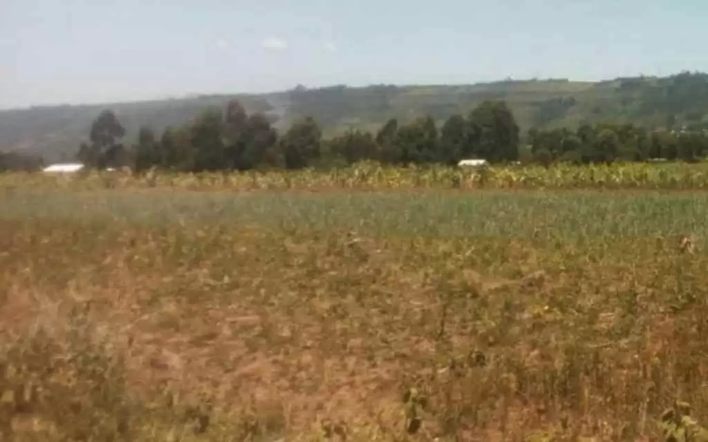 Land for sale in Naivasha Image