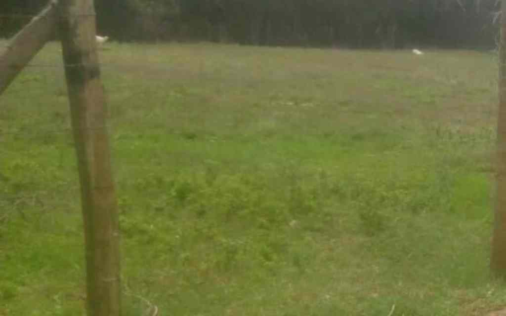 1 acre Plot for sale in Karen