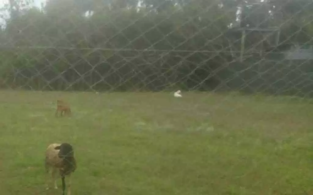 1 acre Plot for sale in Karen in Karen, Nairobi, Kenya Propscout