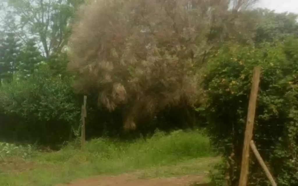 1 acre Plot for sale in Karen in Karen, Nairobi, Kenya Propscout