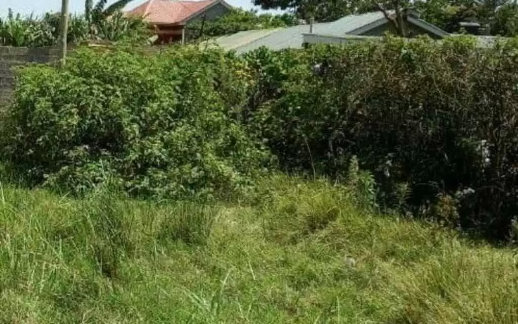 Land for sale along kangundo road Ruai town Image