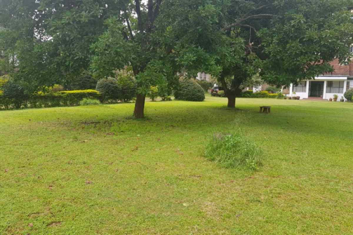 Kilimani Lavington commercial 1 acre land on quick sale