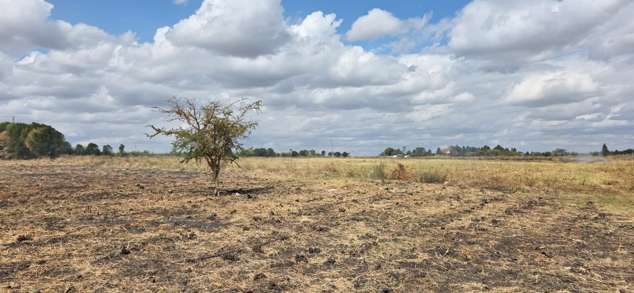 9 acre land for sale in kisaju