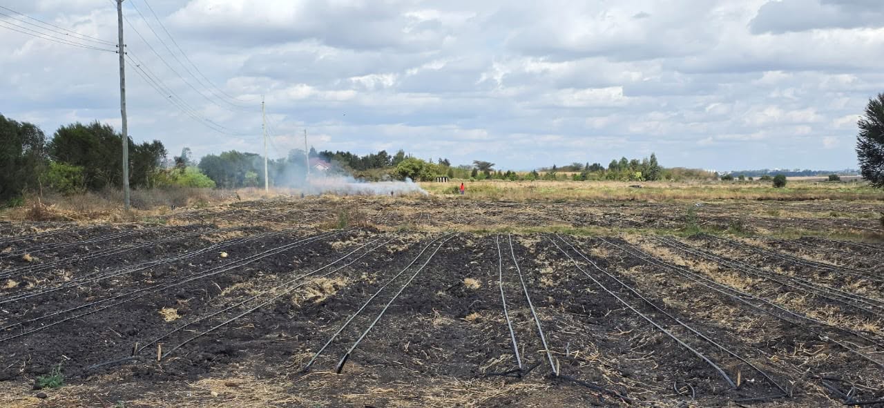 9 Acres Land for Sale in Kisaju Plains Image