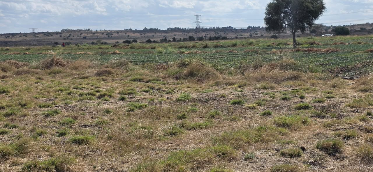 9 Acres Land for Sale in Kisaju Plains