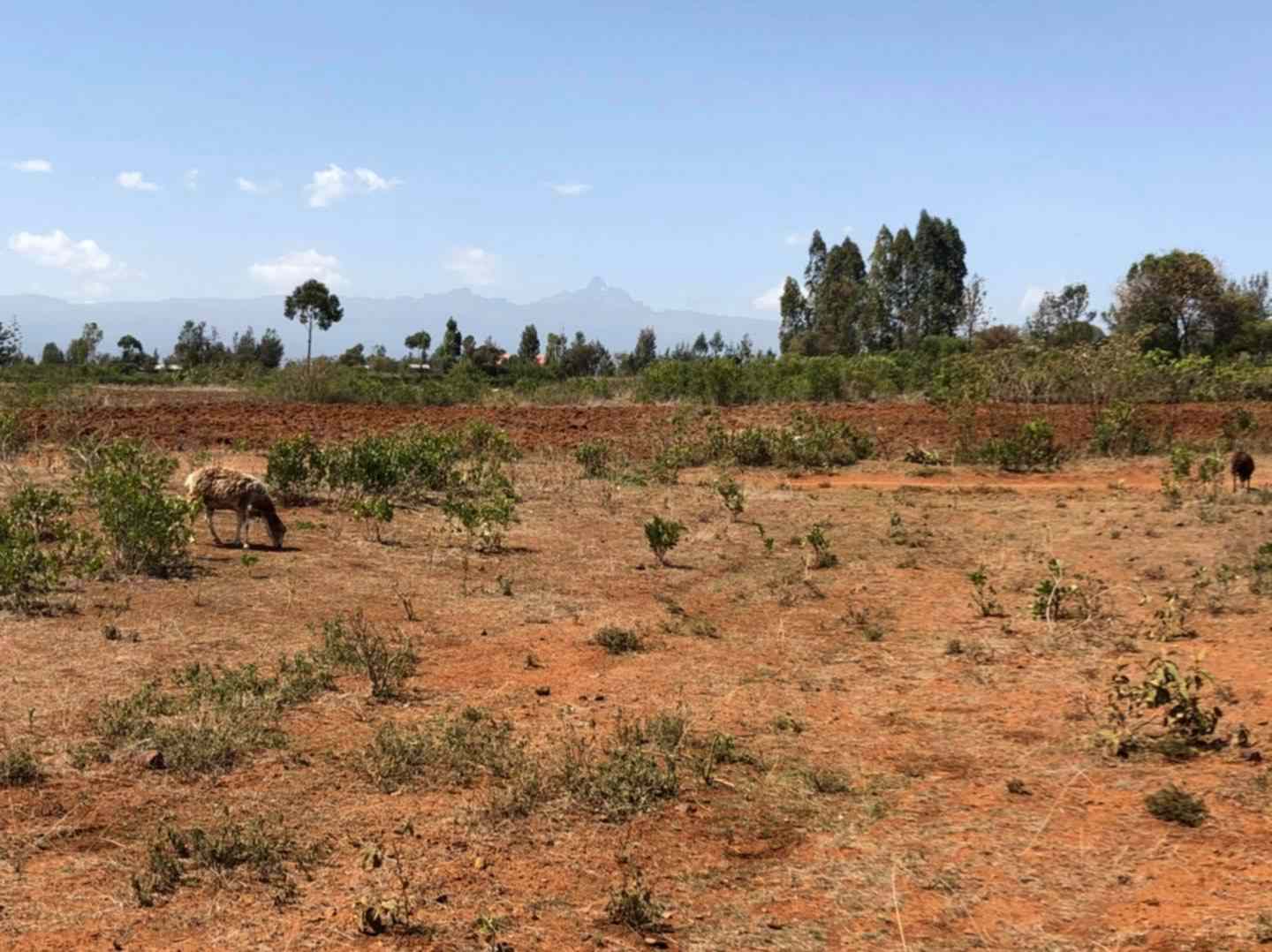 Prime plot for sale in Nanyuki