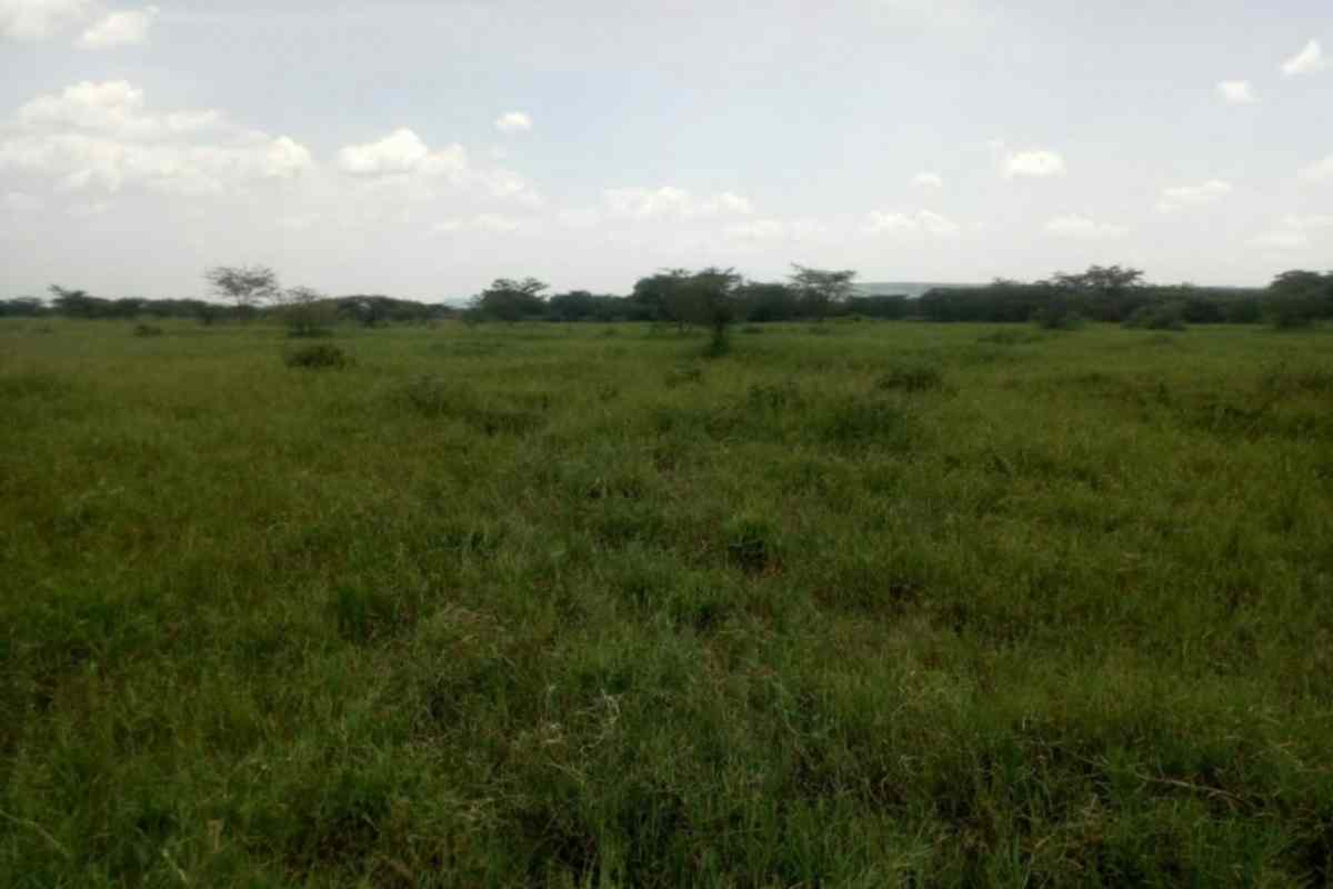 Kajiado namanga agricultural land for quick sale