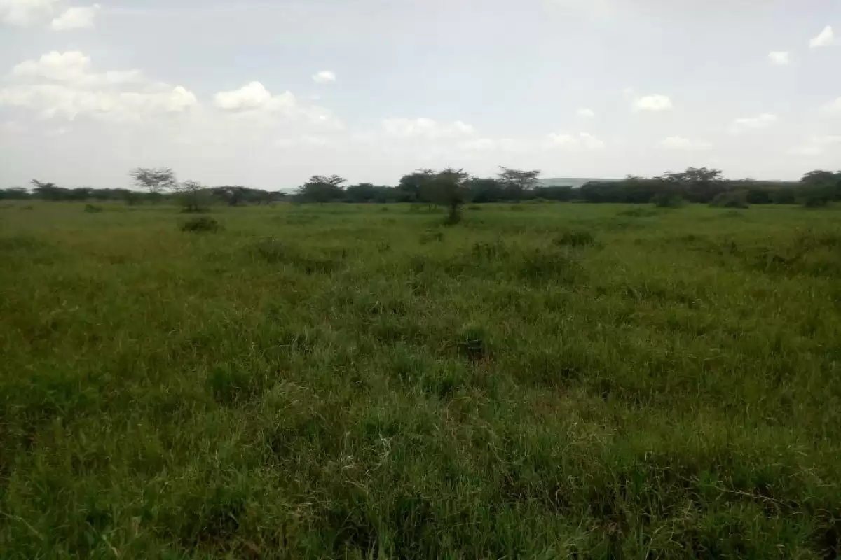 Kajiado namanga agricultural land for quick sale Image