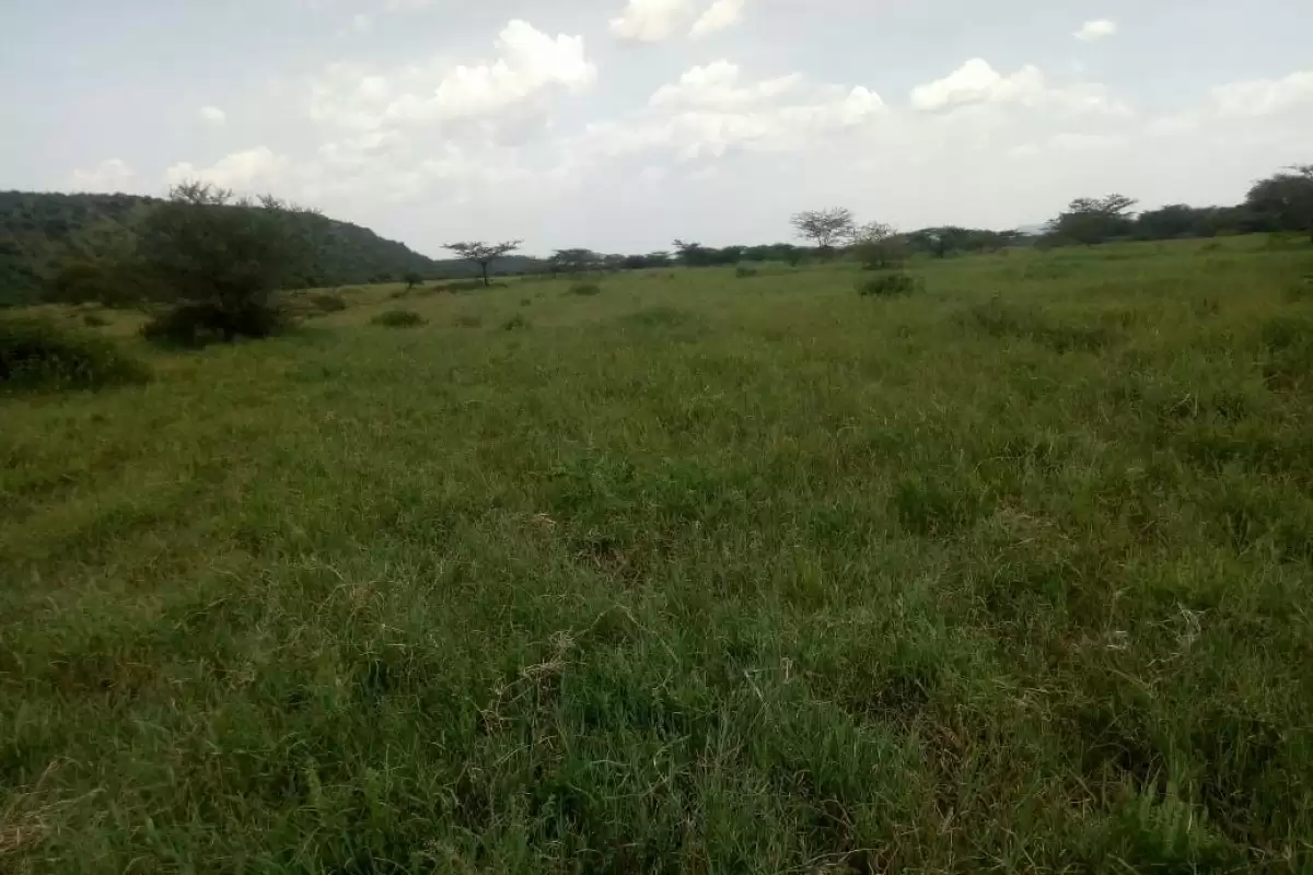 Kajiado namanga agricultural land for quick sale Image