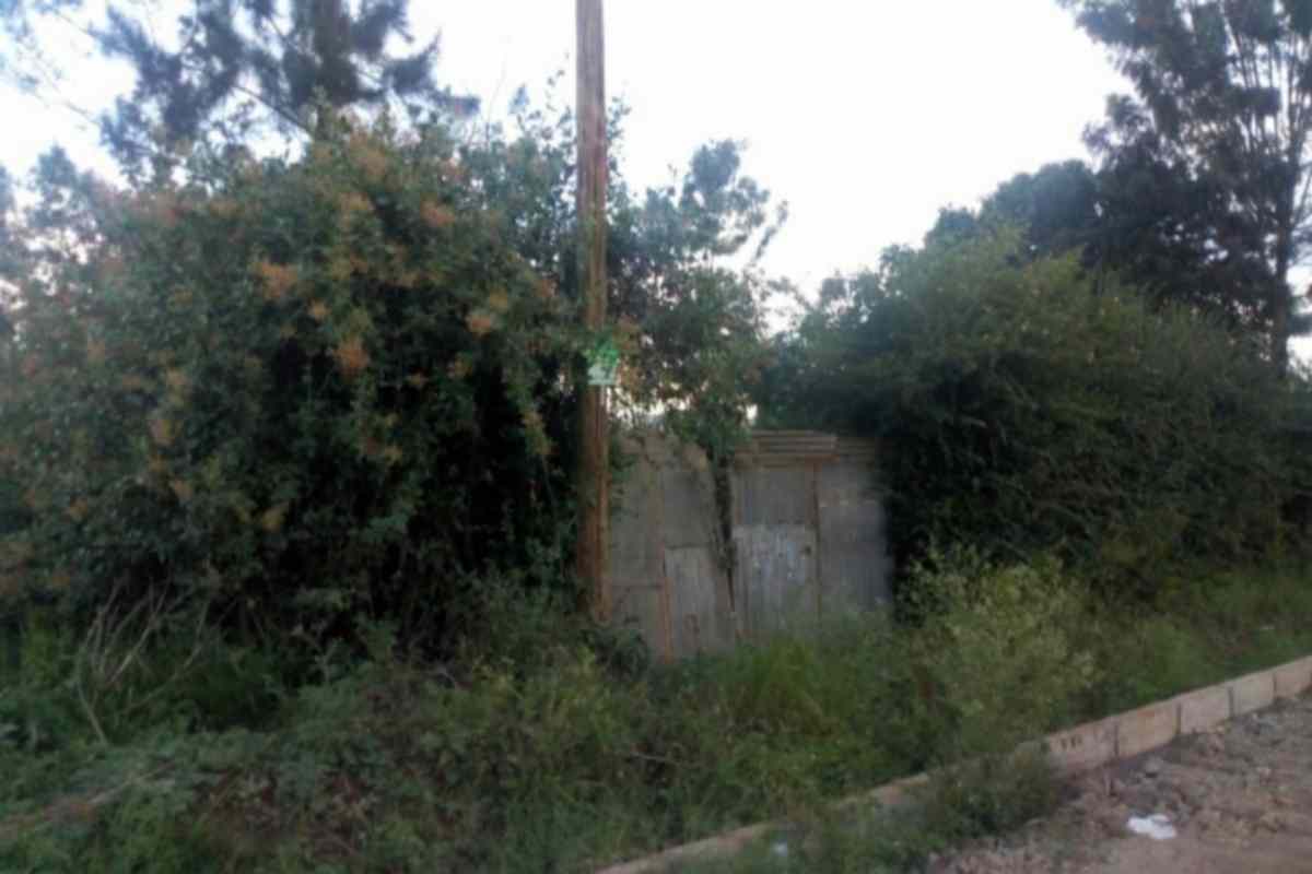 Kiambu Ruiru Kimbo in Mugutha quater land for sale