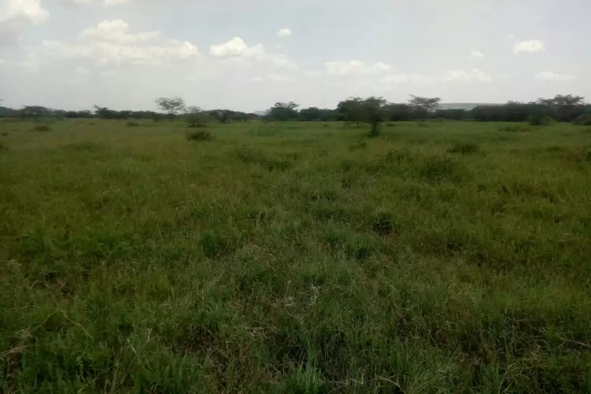 Kangundo road Malaa Commercial land for sale Image