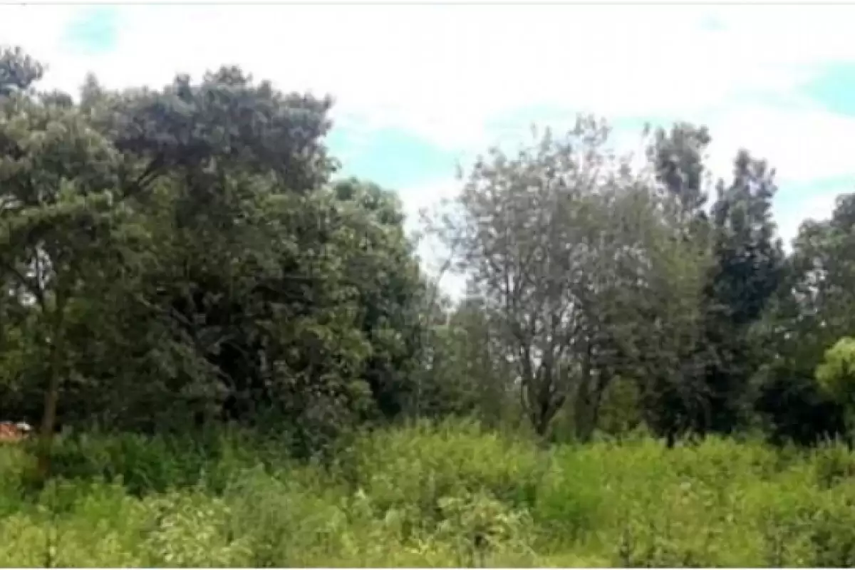 Kimunyu Gatundu  2 acres land for sale Image