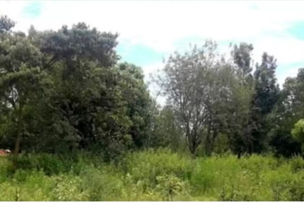 Kimunyu Gatundu  2 acres land for sale Image