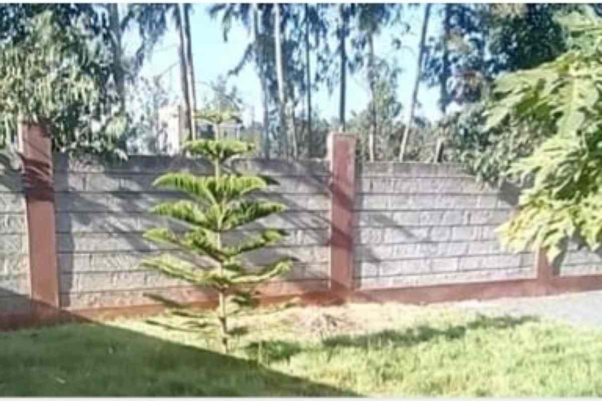 Loresho Westlands half an acre land on quick sale