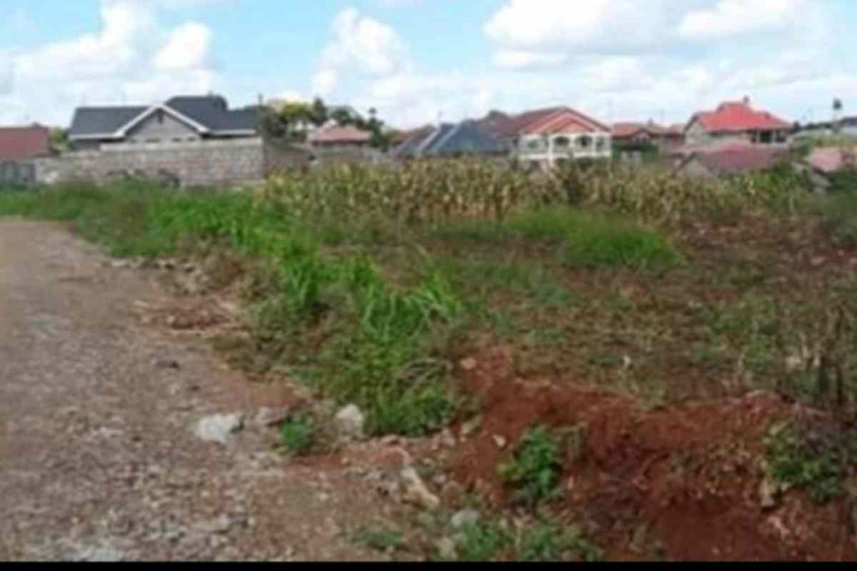 Ruiru Witeithie Thika Road plot for sale