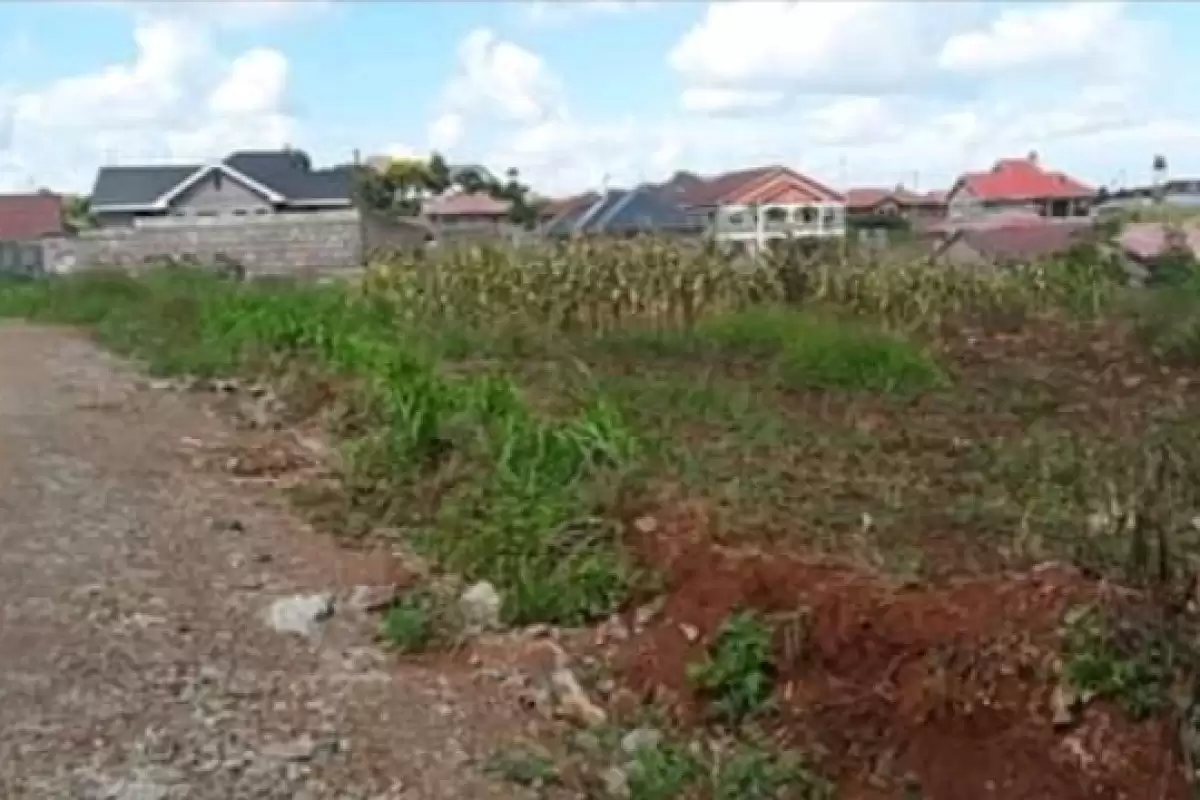 Ruiru Witeithie Thika Road plot for sale Image