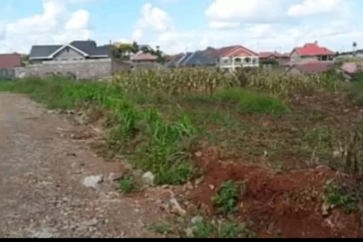 Ruiru Witeithie Thika Road plot for sale Image