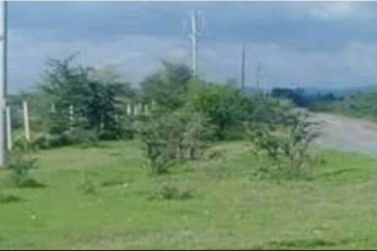 Narumoro Nanyuki Nyeri Highway Land for sale