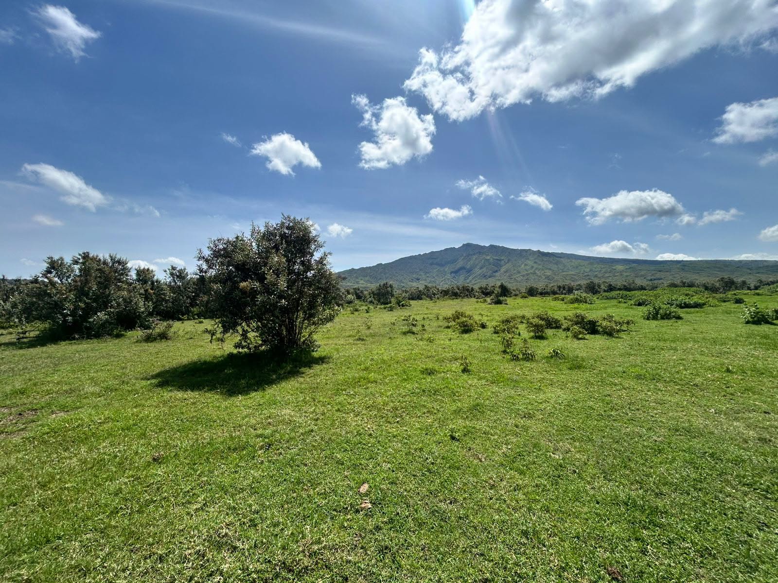 a block of 112 acres land for sale in kedong, naivasha