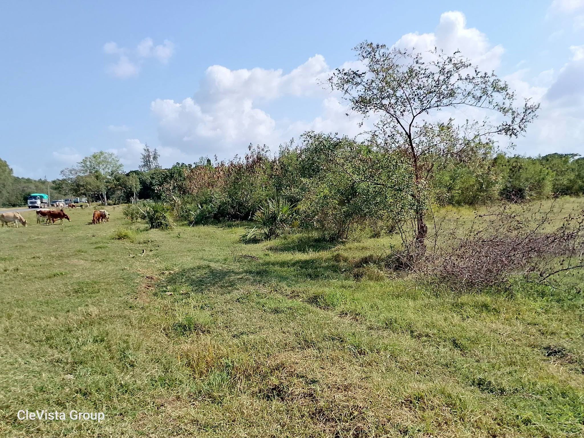 a half an acre commercial plot or sale in waa, magadia kwale