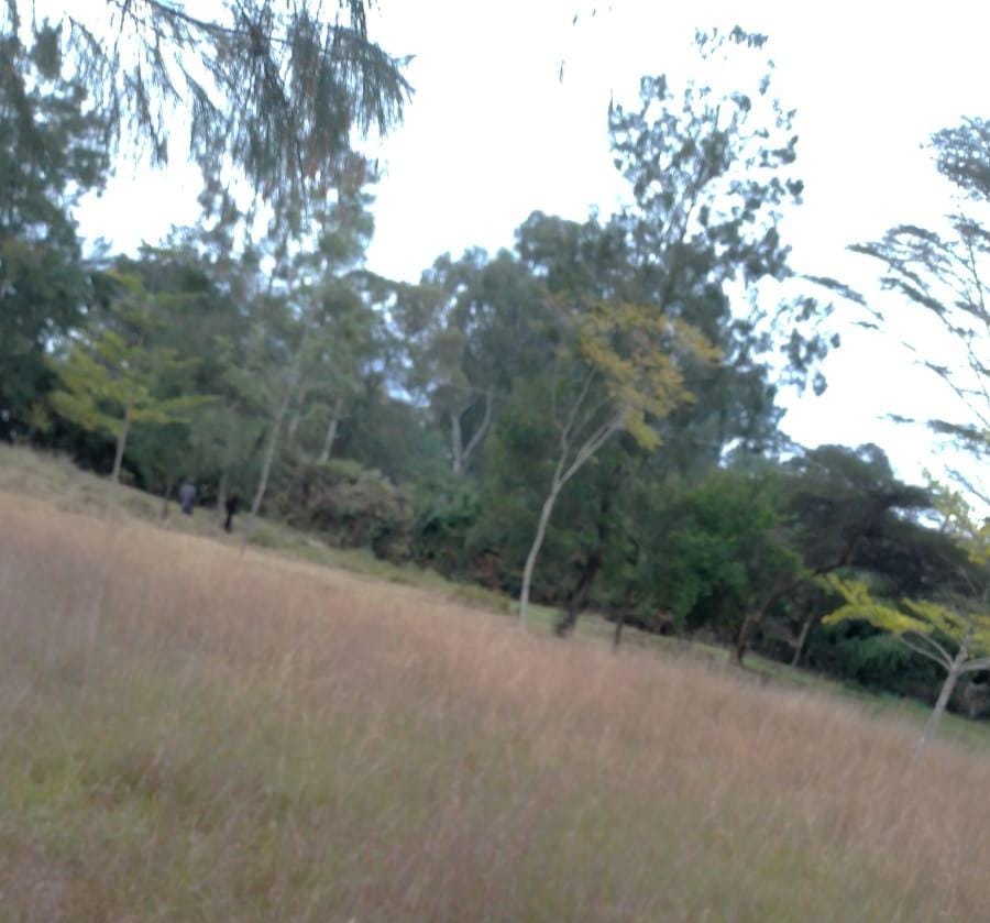 A Half An Acre Plot  For Sale In Karen