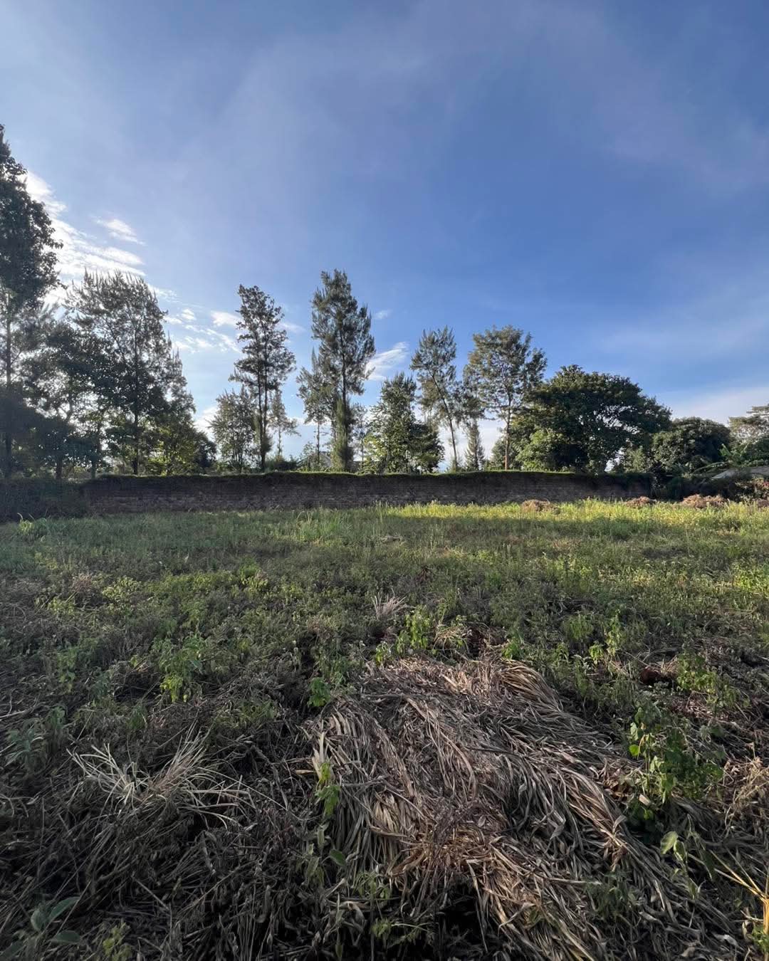 A half an acre land for sale in Karen