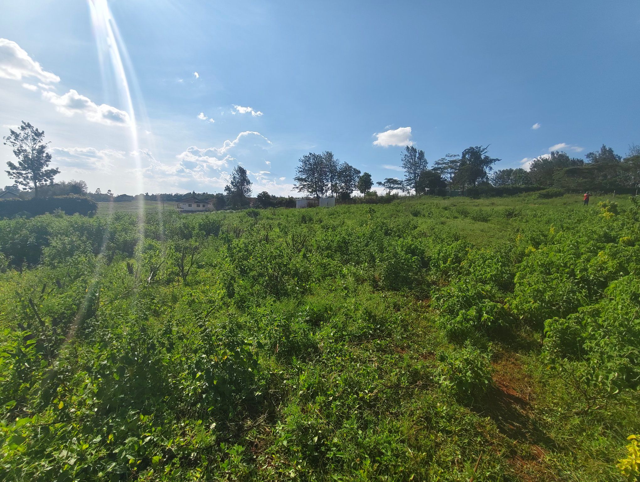 A half an acre plot for sale in Ngong, Kibiko Image