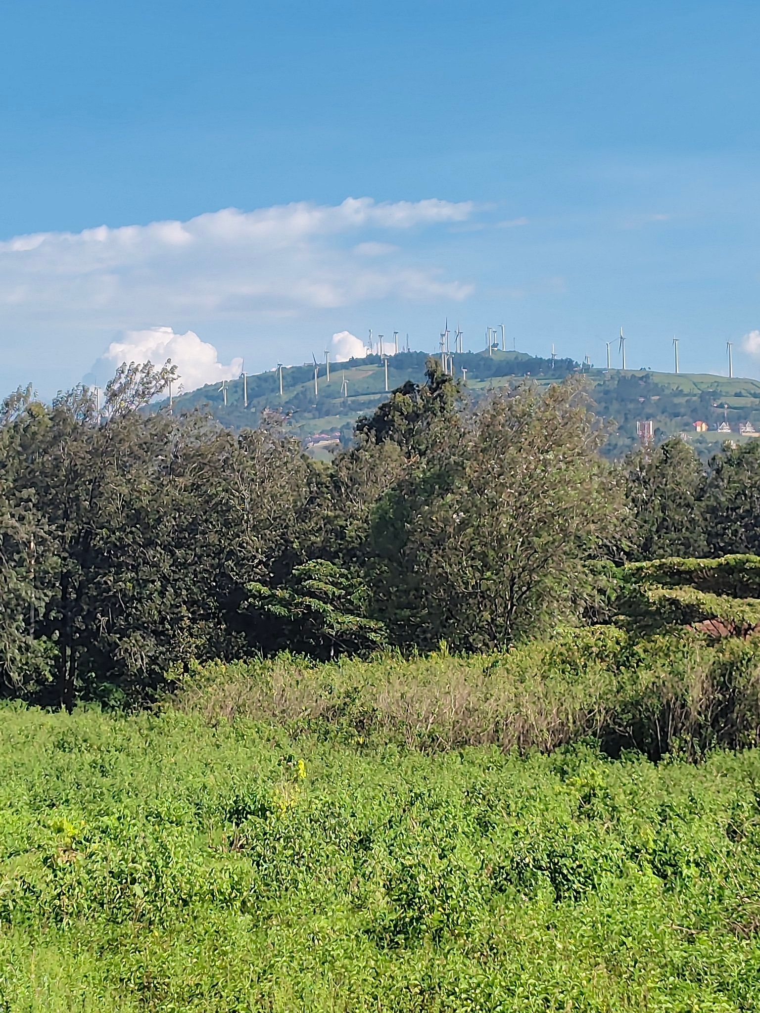 A half an acre plot for sale in Ngong, Kibiko