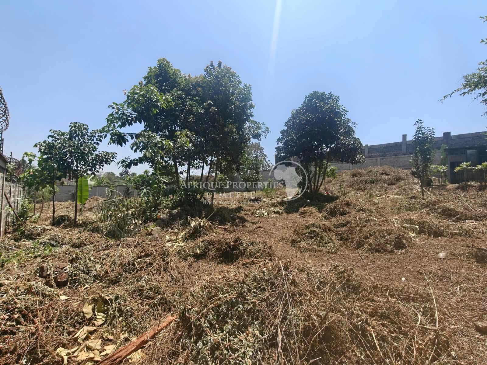 a half an acre plot for sale in runda evergreen