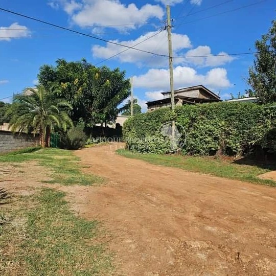 A Half An Acre Plot For Sale in Thome