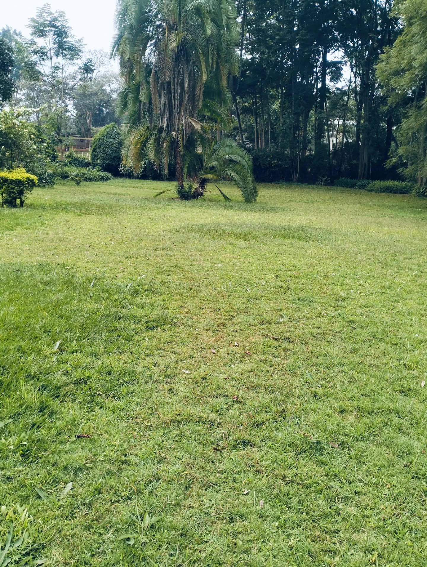 A prime 1 acre residential plot for sale in old Kitisuru.