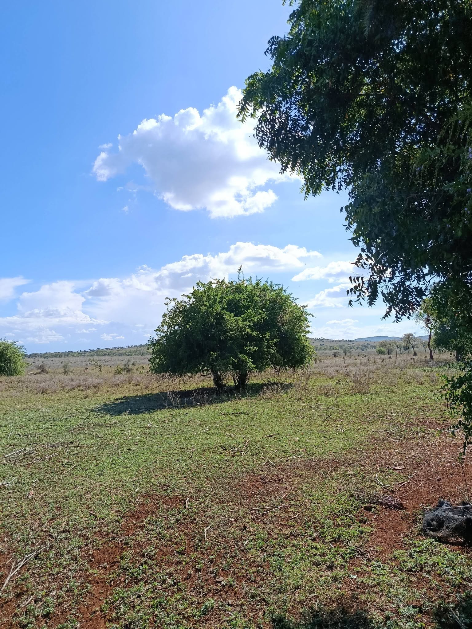 A prime 10 acres Land on Sale - Kinyewa/Poka, Kajiado County. Image