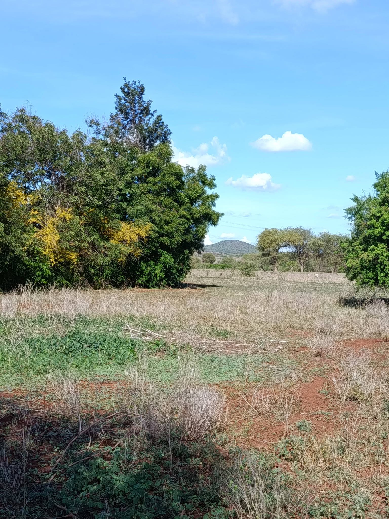 A prime 10 acres Land on Sale - Kinyewa/Poka, Kajiado County.