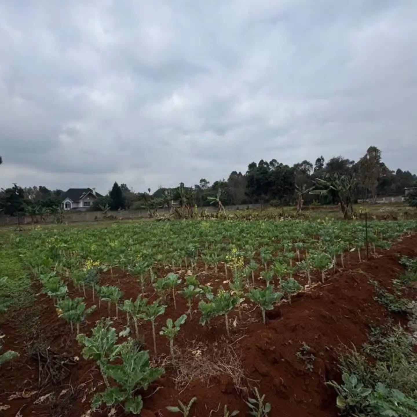 A prime ½-acre parcel for sale in Windy Ridge, Karen,