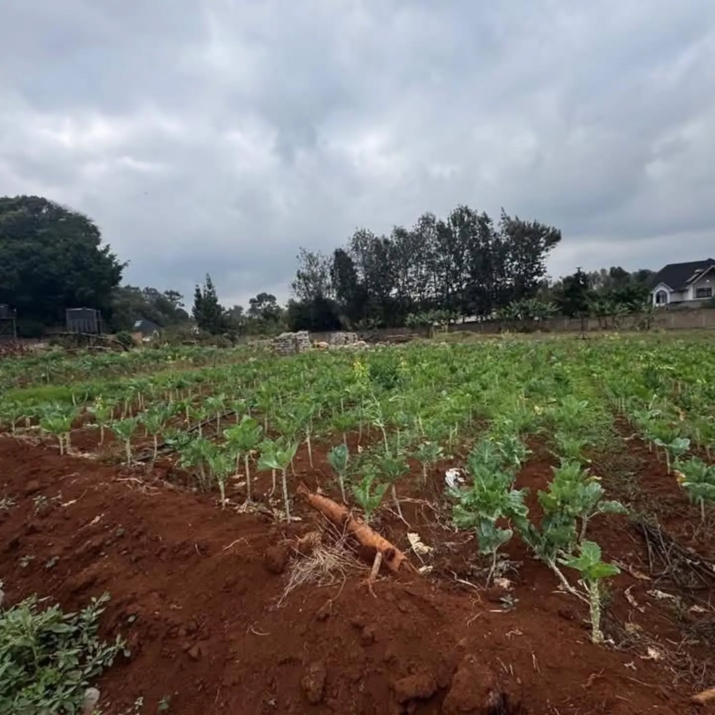A prime ½-acre parcel for sale in Windy Ridge, Karen, Image