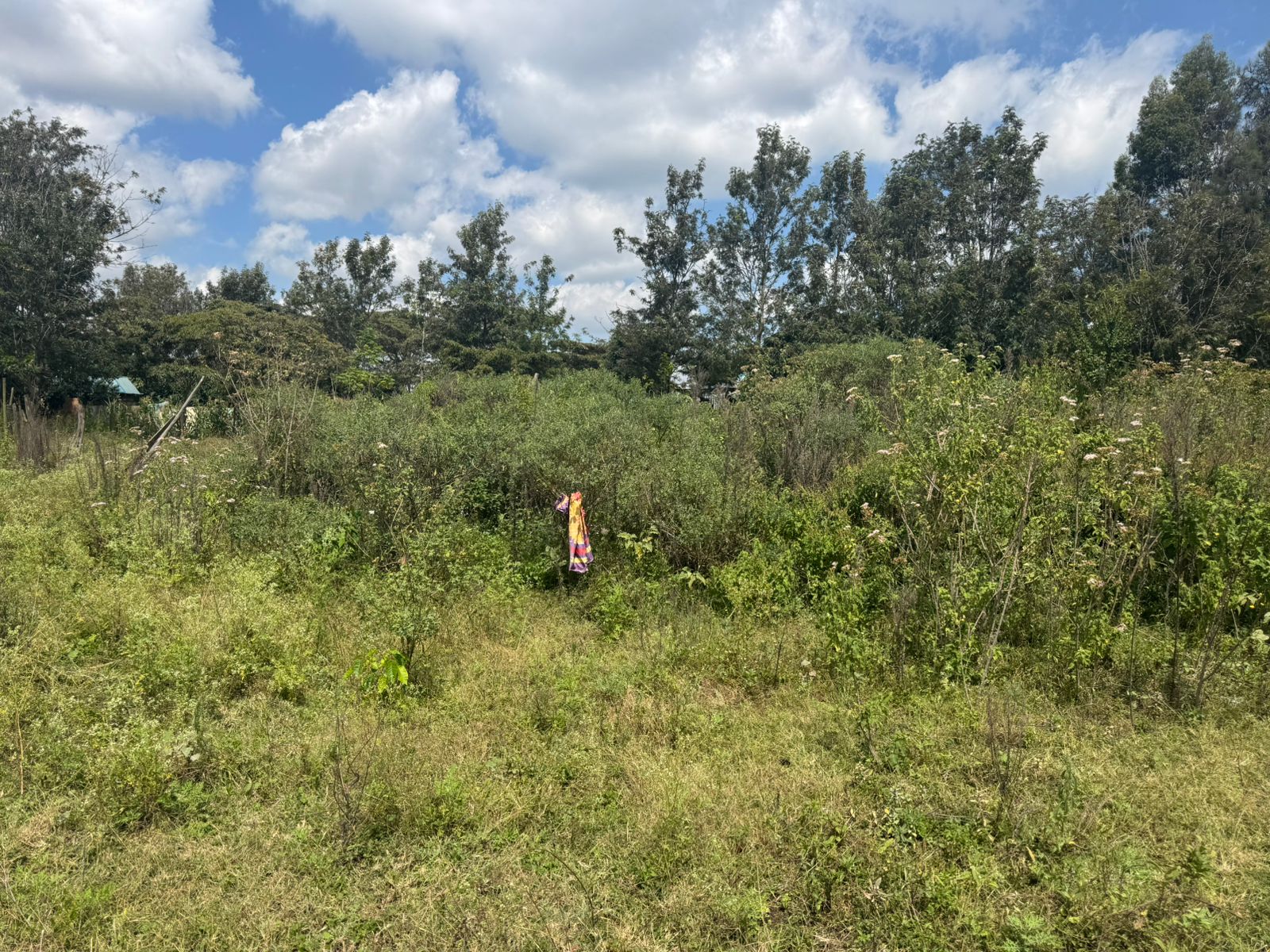 A prime residential ⅛ acre plot for sale in Matasia around Eagle Crest, Ngong'