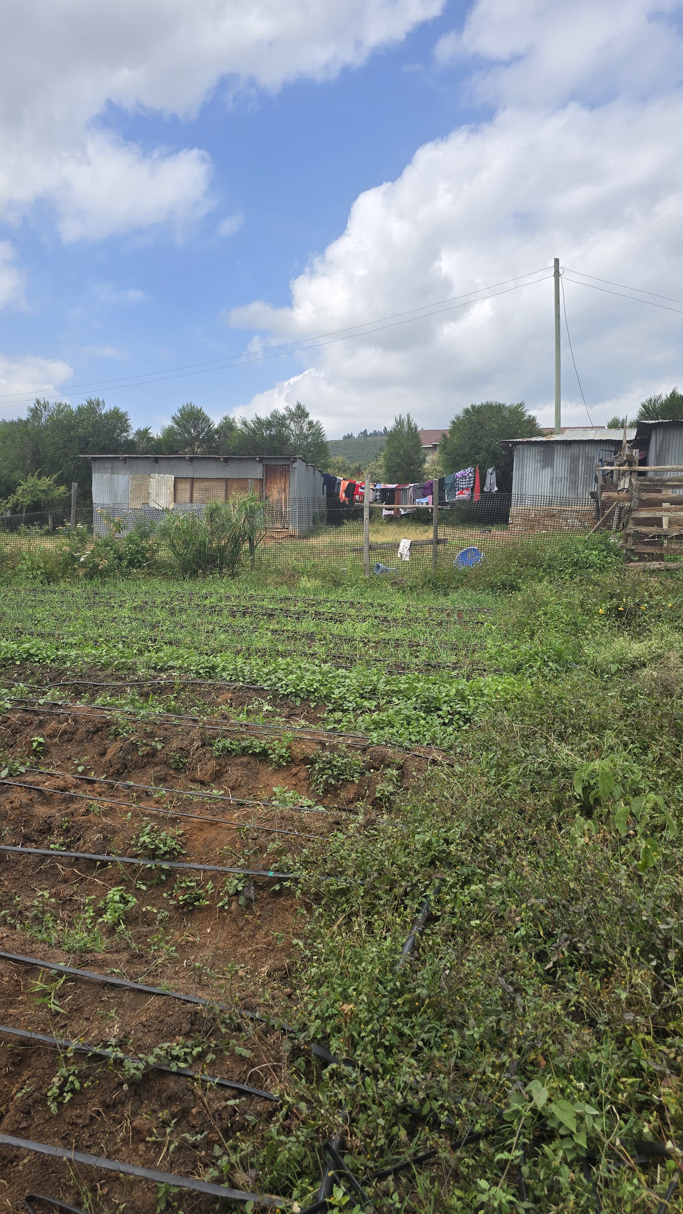 A prime residential plot for Sale in Ngong-Bondeni