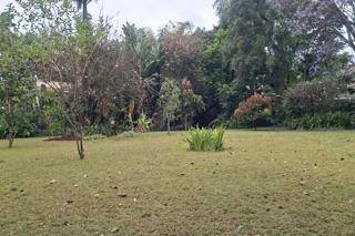 A prime residential plot for sale in nyari. Image