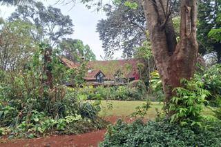 A prime residential plot for sale in nyari.